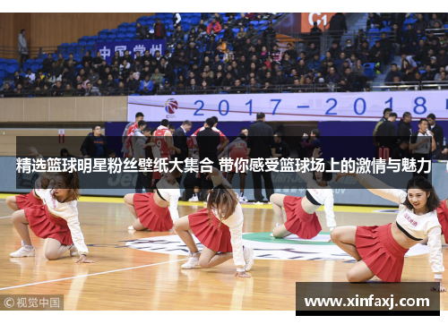 精选篮球明星粉丝壁纸大集合 带你感受篮球场上的激情与魅力