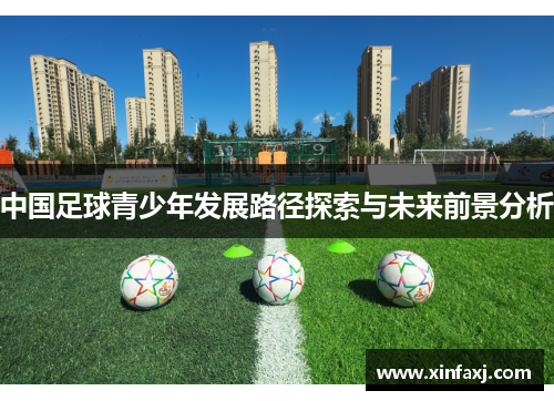 中国足球青少年发展路径探索与未来前景分析