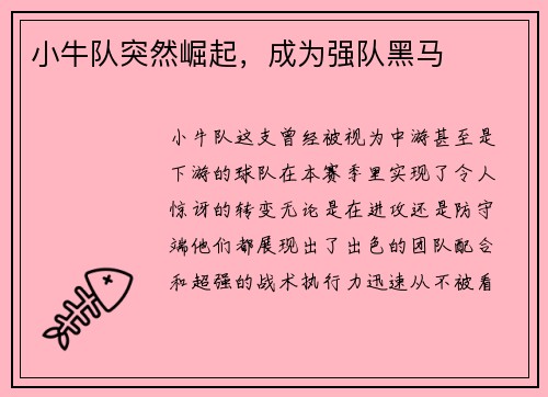 小牛队突然崛起，成为强队黑马